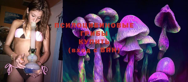 ПСИЛОЦИБИНОВЫЕ ГРИБЫ Аркадак