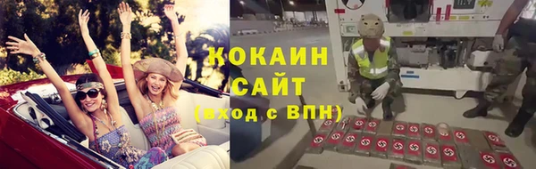ПСИЛОЦИБИНОВЫЕ ГРИБЫ Аркадак