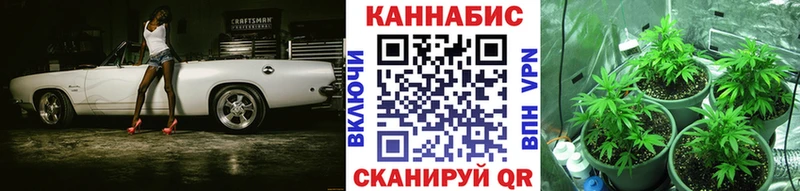 Бошки марихуана марихуана хочу наркоту Черняховск
